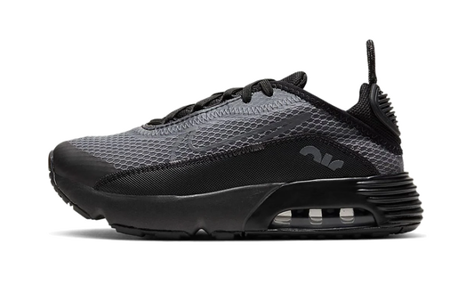 Air Max 2090 PS "Black Wolf Grey" CU2093 001