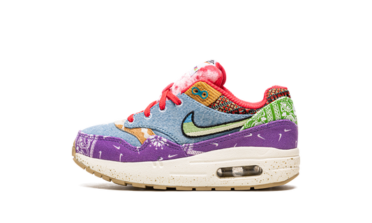 Air Max 1 PS "Concepts Far Out" DR2362 100